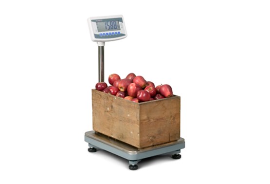 AWTX Portable Platform Scale - AWB 120